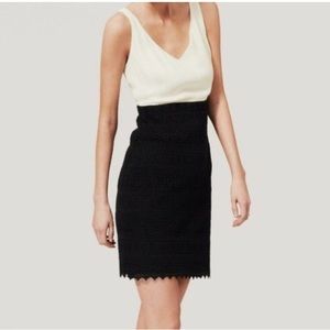 Ann Taylor Loft Black & White Dress